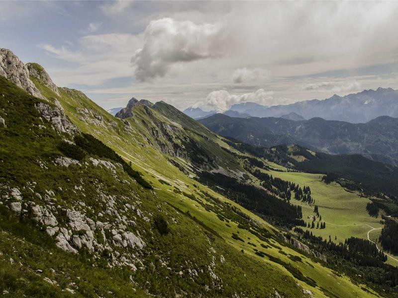 鲁迅呐喊<br>lyd4nhjn.cn 铁屋子里的闷雷